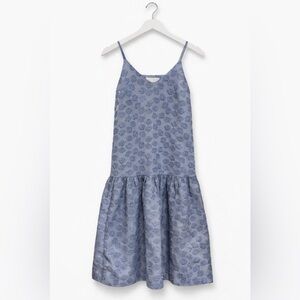 Co Collection Sleeveless Blue Floral-Print Maxi Dress